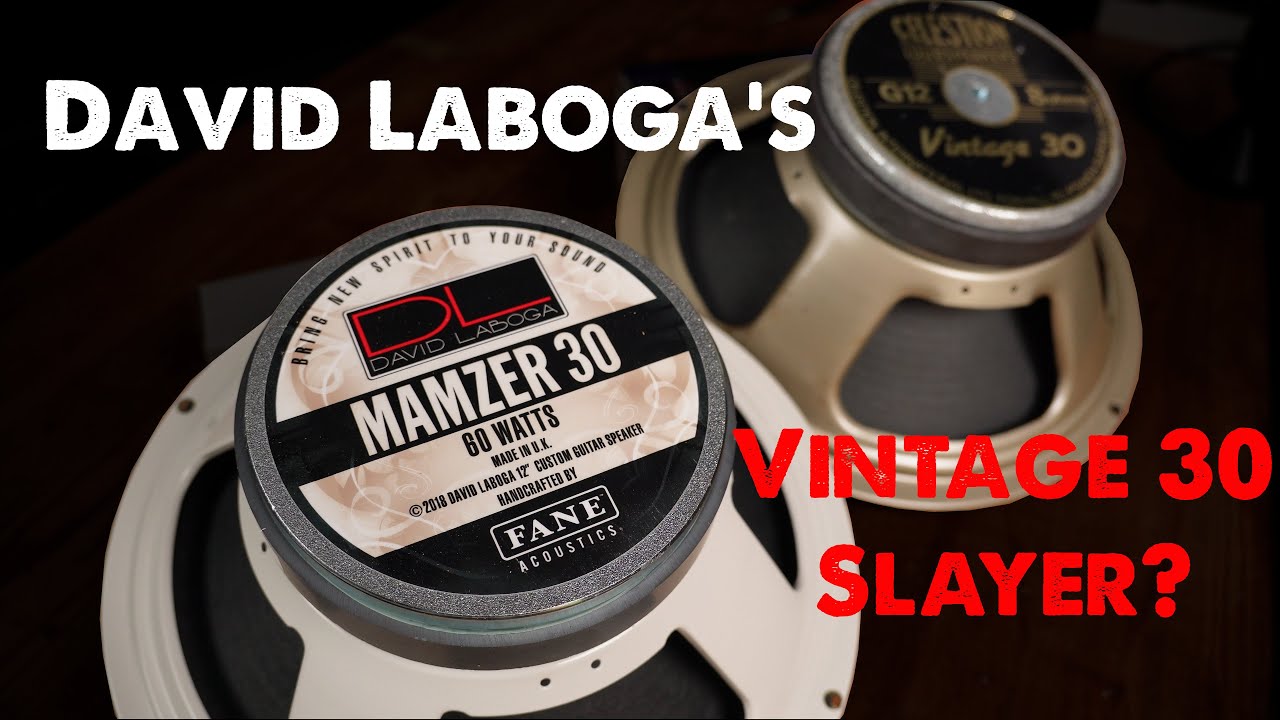 Testing the David Laboga / Fane Mamzer 30 and comparing it to the Celestion Vintage 30 + Free IRs