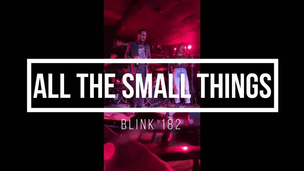 All The Small Things (Blink 182) - 5 Way Stop Cover