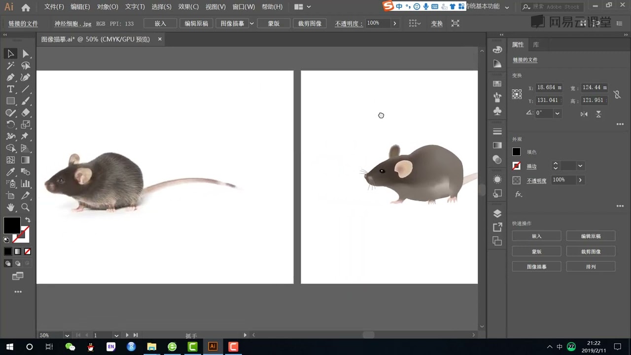 零基础玩转illustrator科研绘图：课时29 图像描摹和实验动物绘制