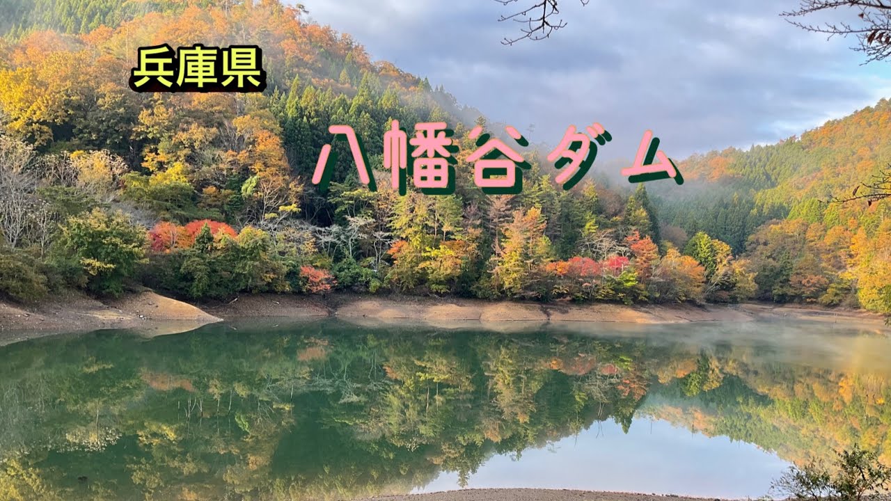 【兵庫県】八幡谷ダム　ささやまの森公園　2025年11月15日