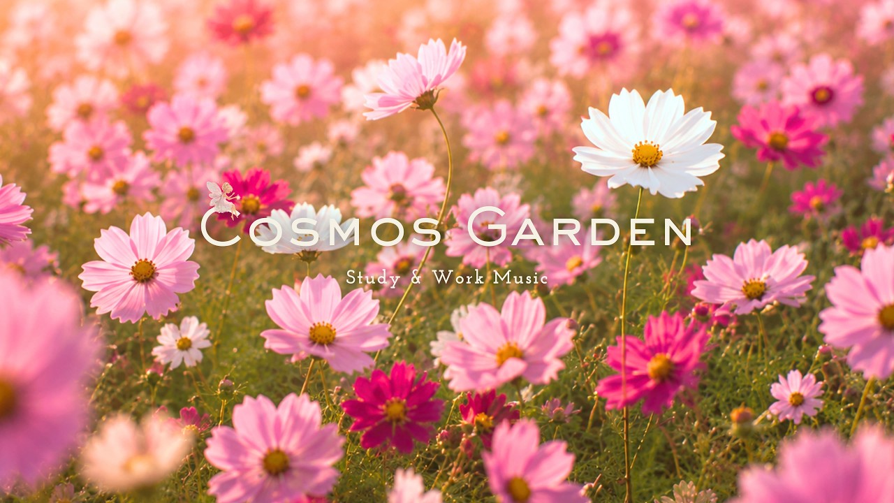 Cosmos Garden 🌸 soft waltz piano for studying, reading & creative work [ 3+ Hours ]