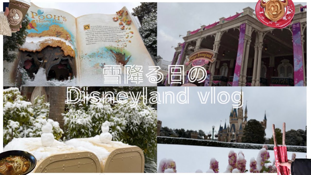 【ディズニーランド】雪降る日のDisneyland vlog⛄️❄️