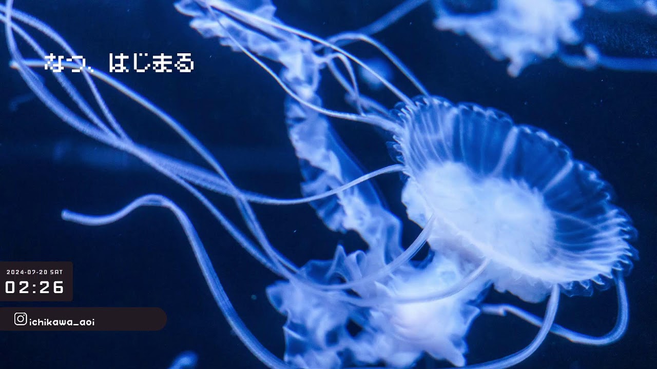 夏、はじまる