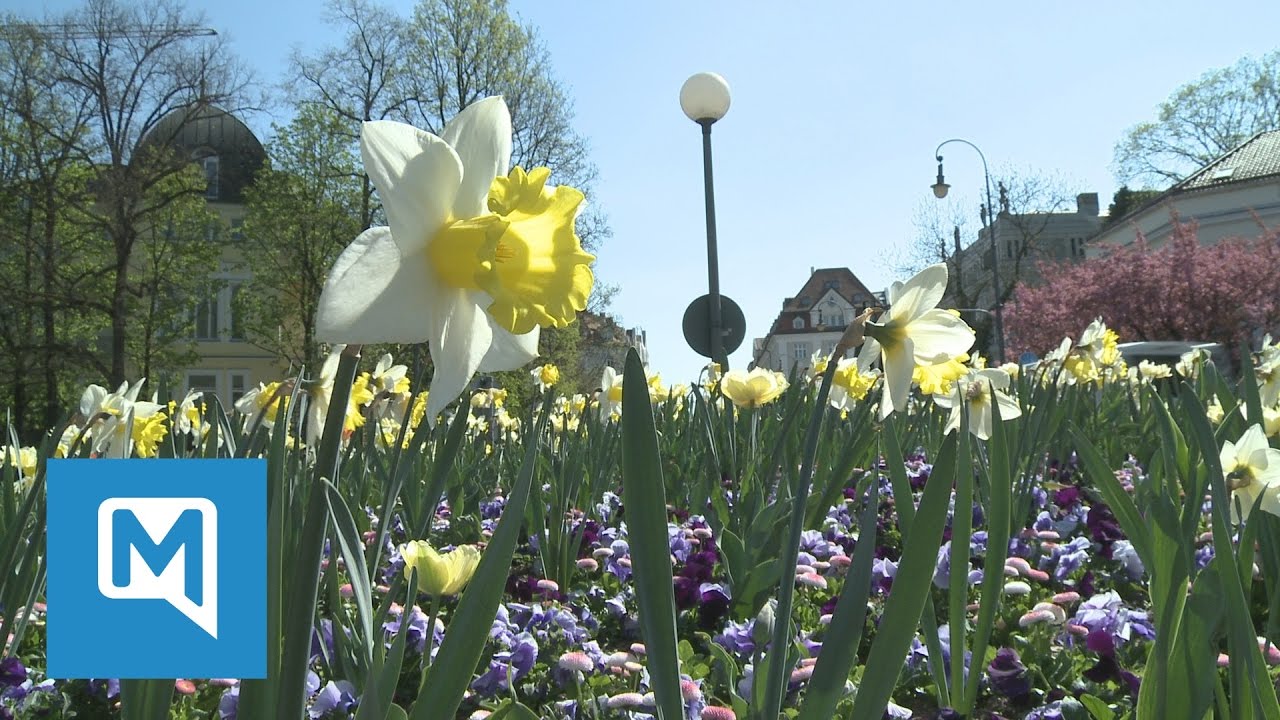 M&uuml;nchen im Fr&uuml;hlingsfieber: So sch&ouml;n ist die bayerische Landeshauptstadt