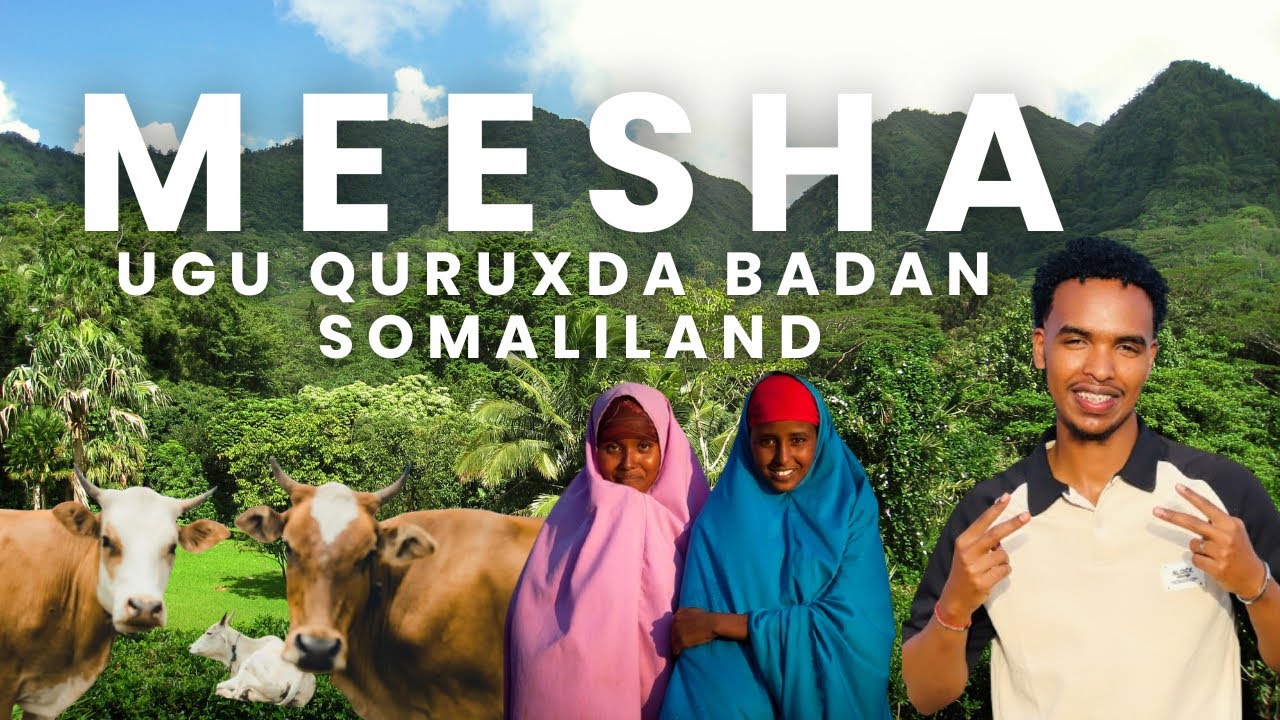 HALKAN WA INAD KU DALIIXSTO MEESHA UGU QURUXDA BADAN SOMALILAND l 2024