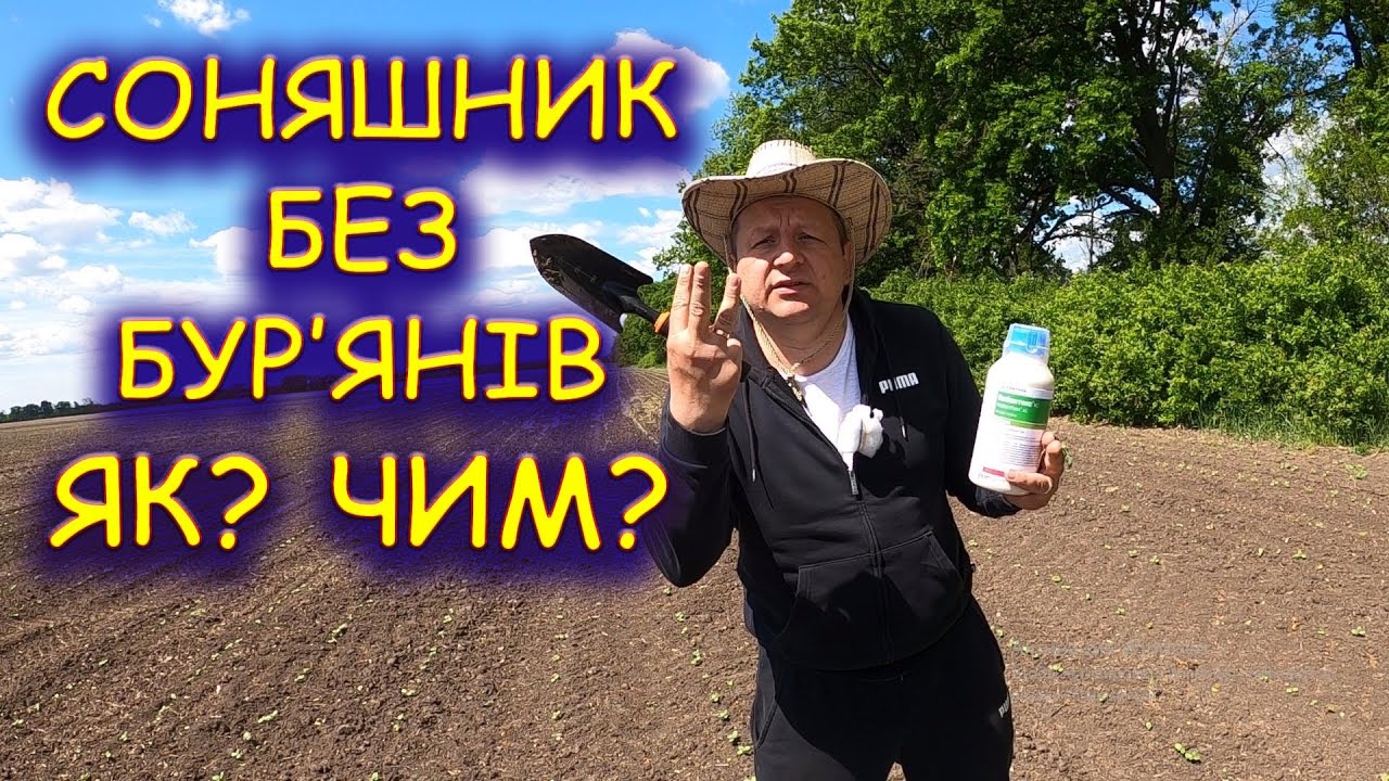 🤔БЕЗ ПРОПОЛКИ СОНЯХ🌻 ЧИСТИЙ ДО УБОРКИ #гелиантекс #харнес #агрован