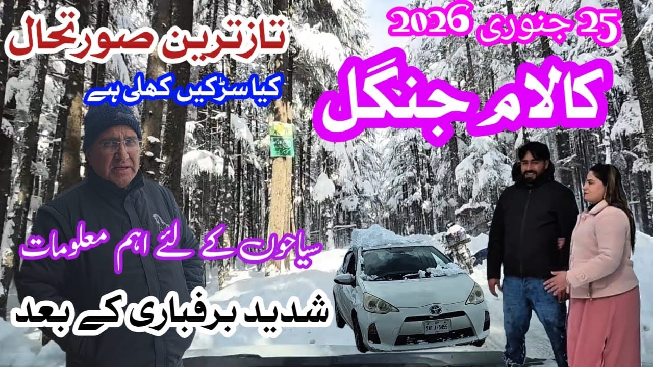 شدید برفباری کے بعد کالام جنگل کے دلکش مناظر | Kalam Forest After Heavy Snowfall