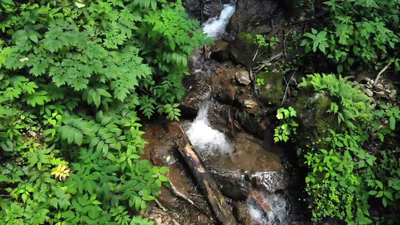 Hidden Private Waterfall Maggie Valley North Carolina Aerial Long Version