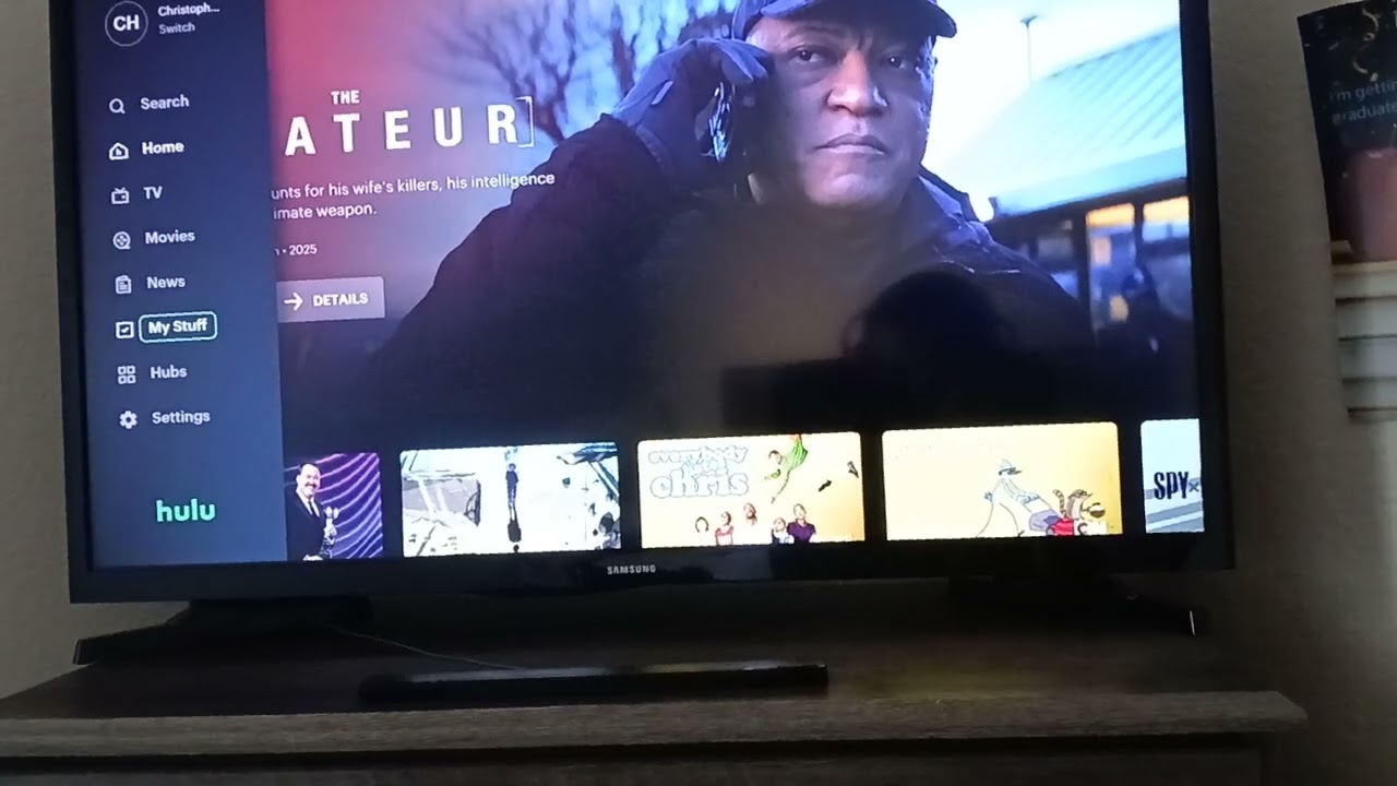 My Disney Plus/Hulu collection (Summer 2025 update)