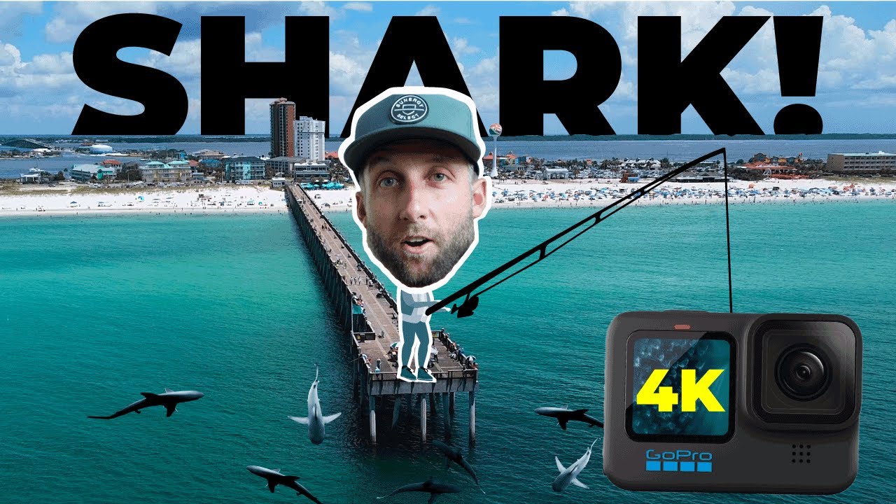 Dropped GoPro under shark infested pier!