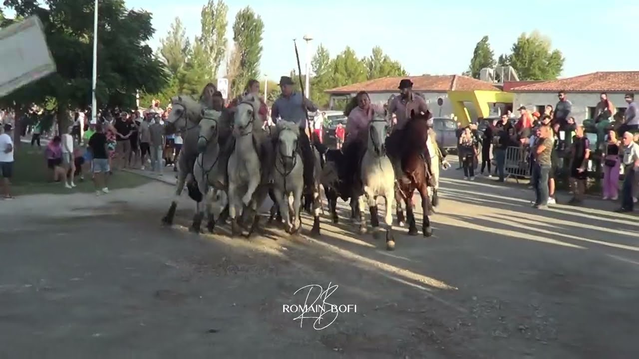 Fête Votive St Chaptes 2024