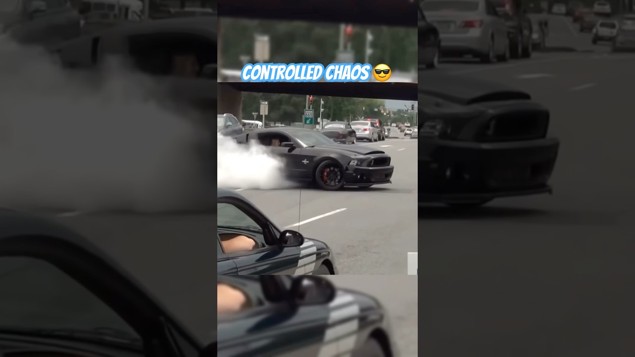 MEANEST Shelby Burnout on PUBLIC road //