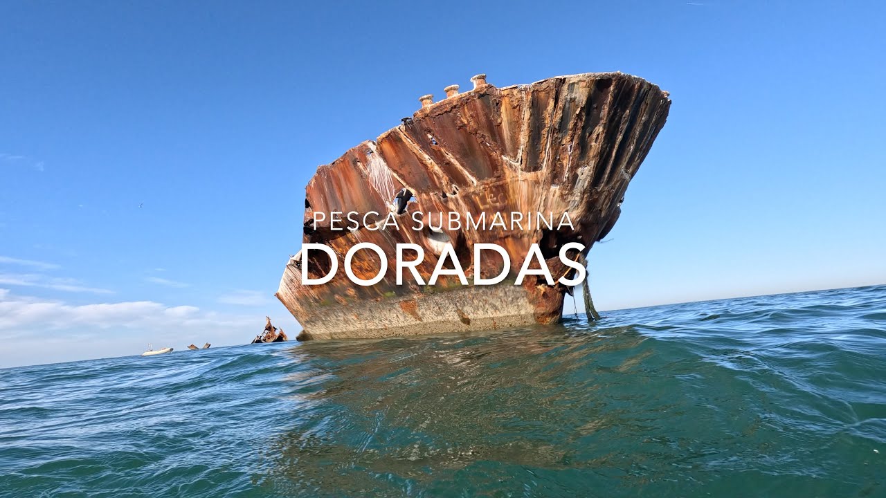 PESCA SUBMARINA EN EL ESTRECHO - DORADAS