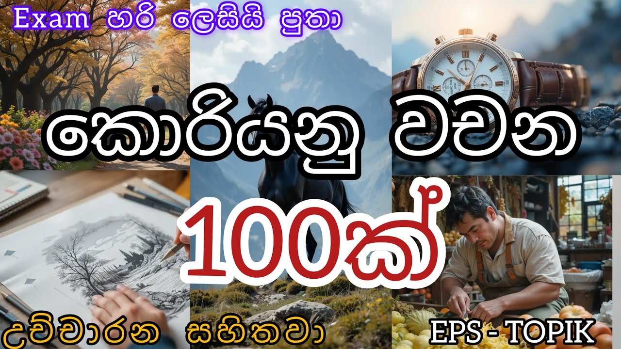 දින 2න් කොරියනු වචන 100ක්/🥵🇰🇷💞/EPS TOPIK/100 Korean words in 2 days