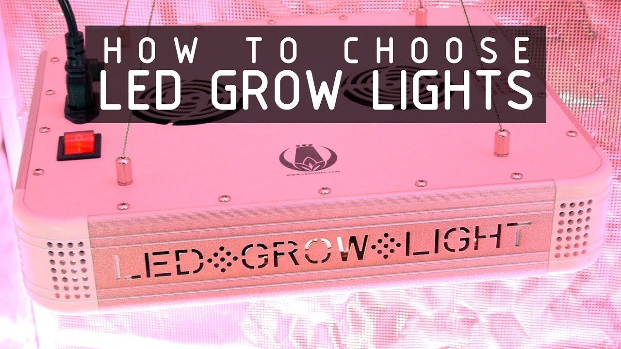 How To Choose LED Lights To Grow Cannabis: Cannabasics #108