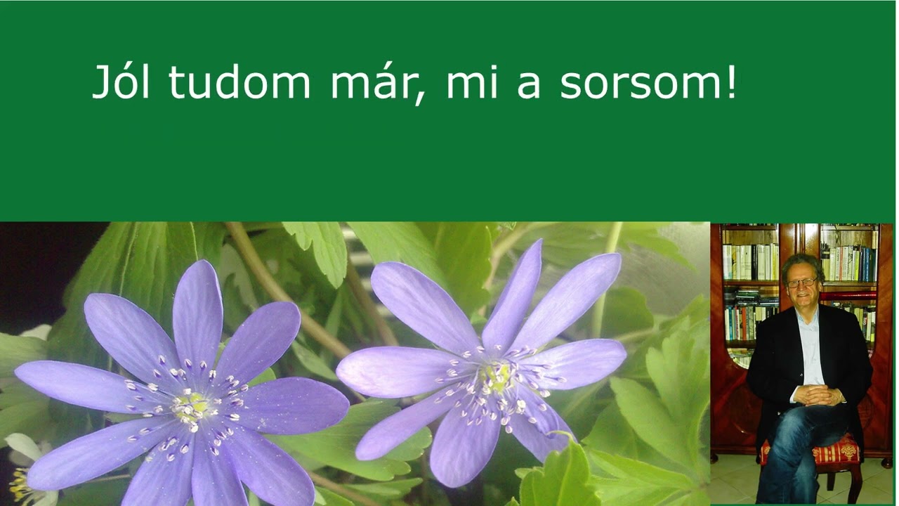 Magyarnóta Karaoke Zöld a petrezselyem.
