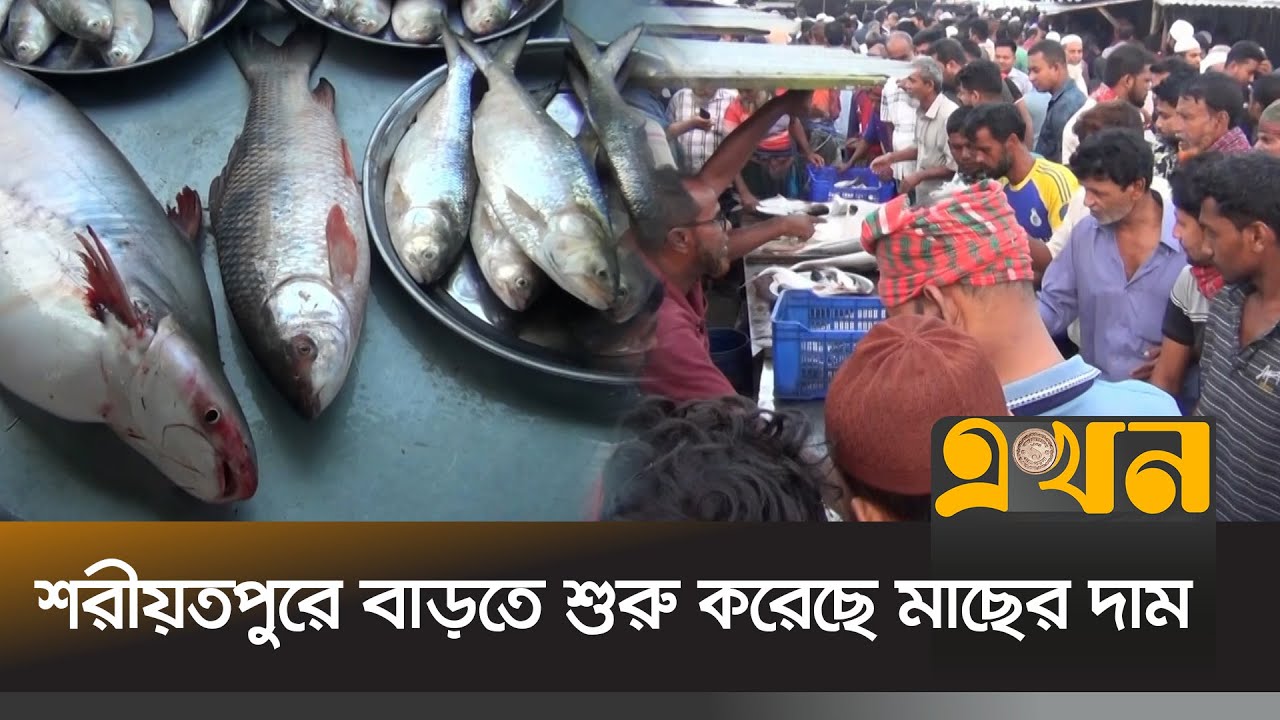 শরীয়তপুরে বাড়তে শুরু করেছে মাছের দাম | Shariatpur Bazar | Fish Market | Price Hike | EKhon TV