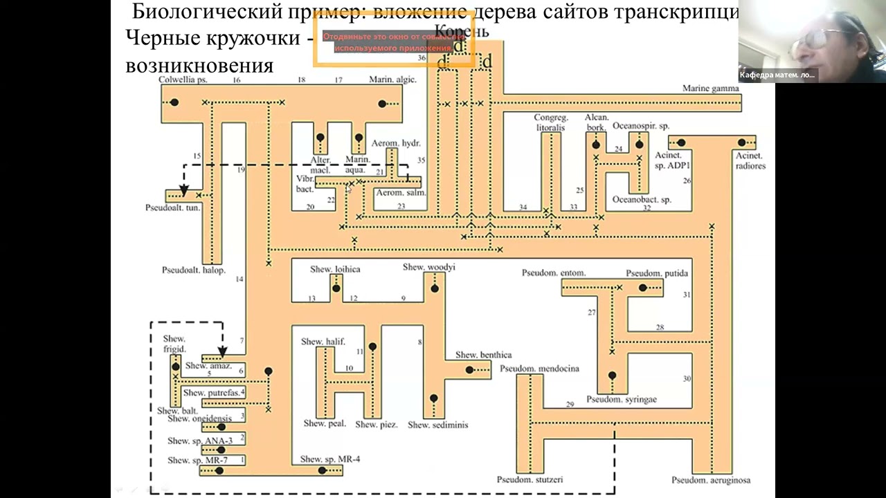 Современные методы обработки данных, II. Лекция 5 (8.12.2025)