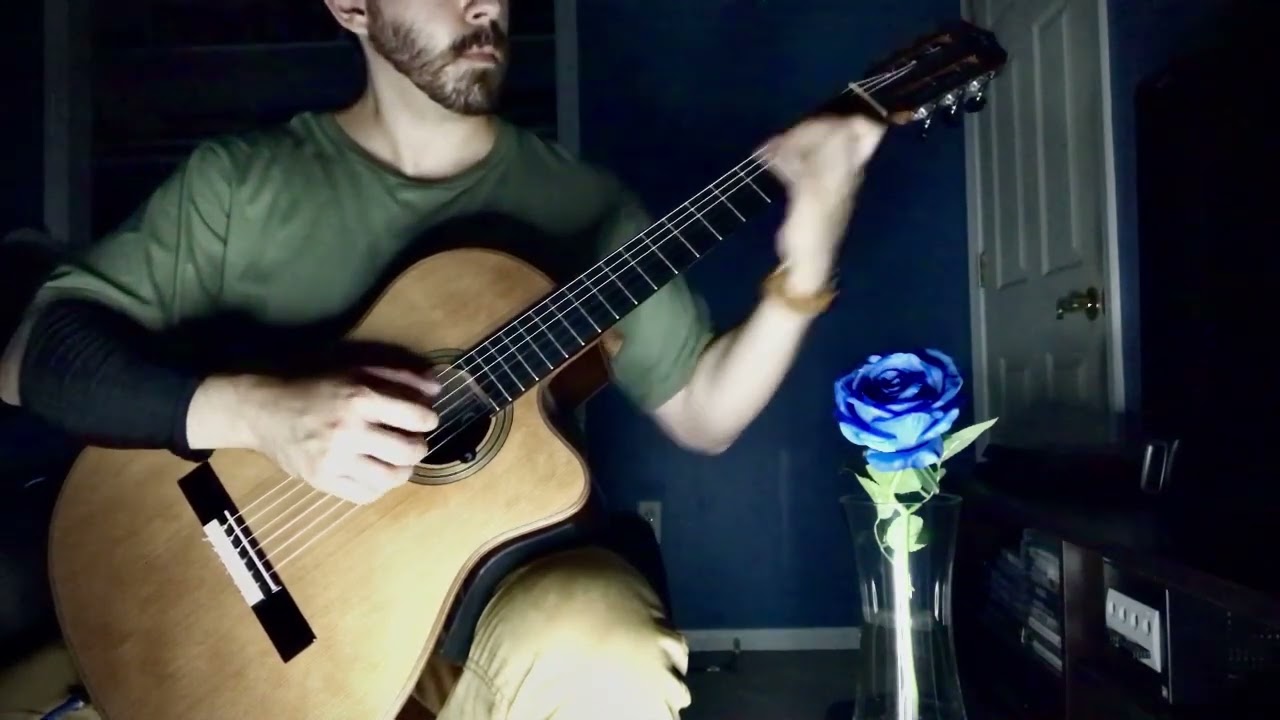 Hide and Seek - Ib - Acoustic Guitar Cover