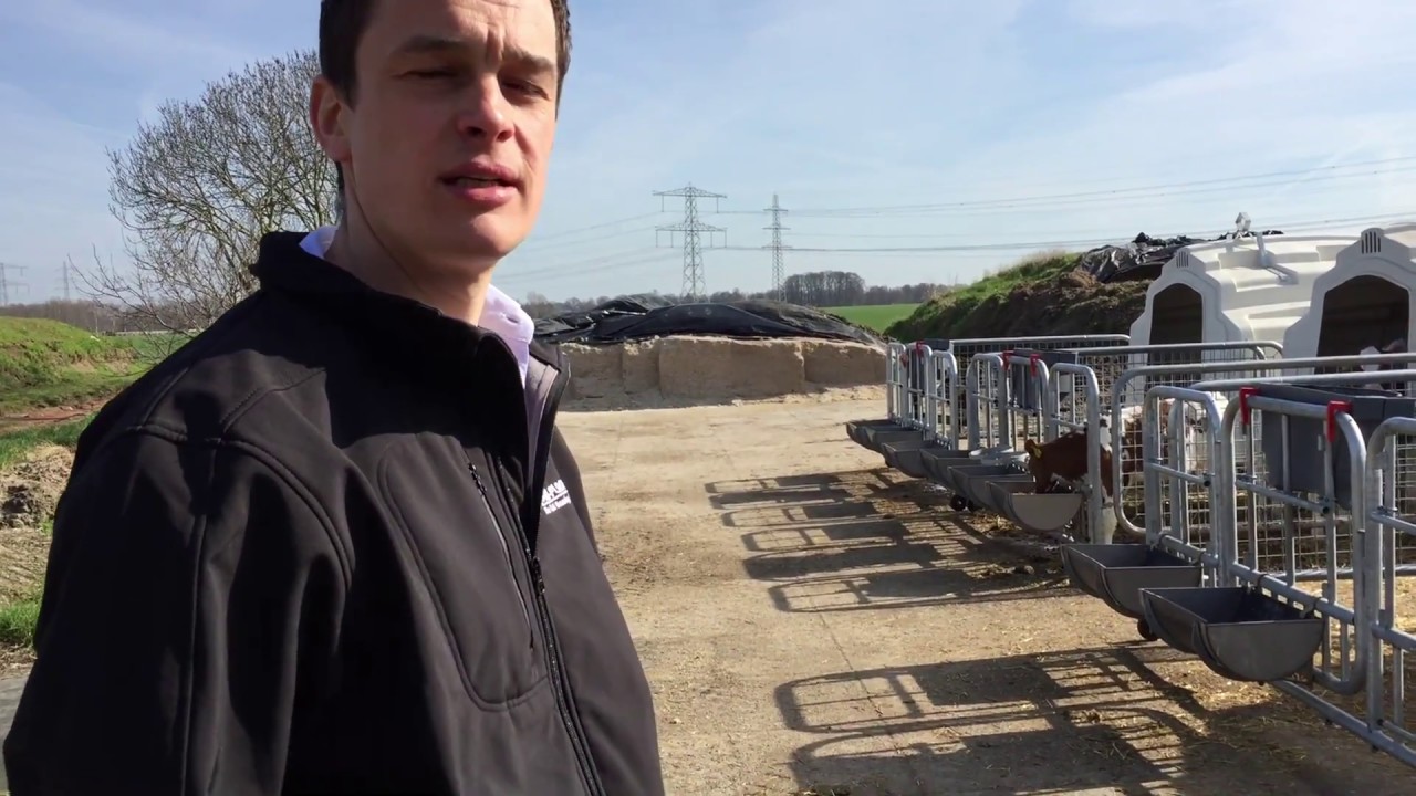 Group Calf Housing in Holland with Agri-Plastics Video 3/3