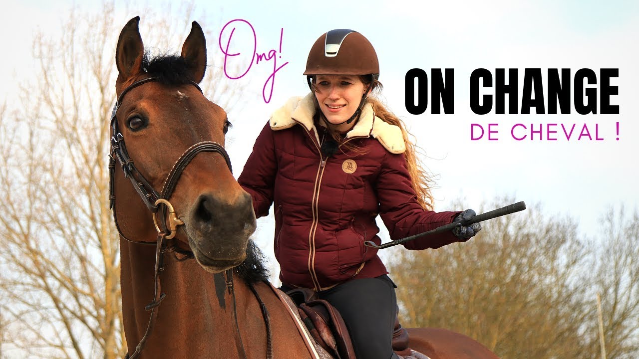 UN NOUVEAU CHEVAL ?! 😱🦄 I Georgette ou Taxi ?