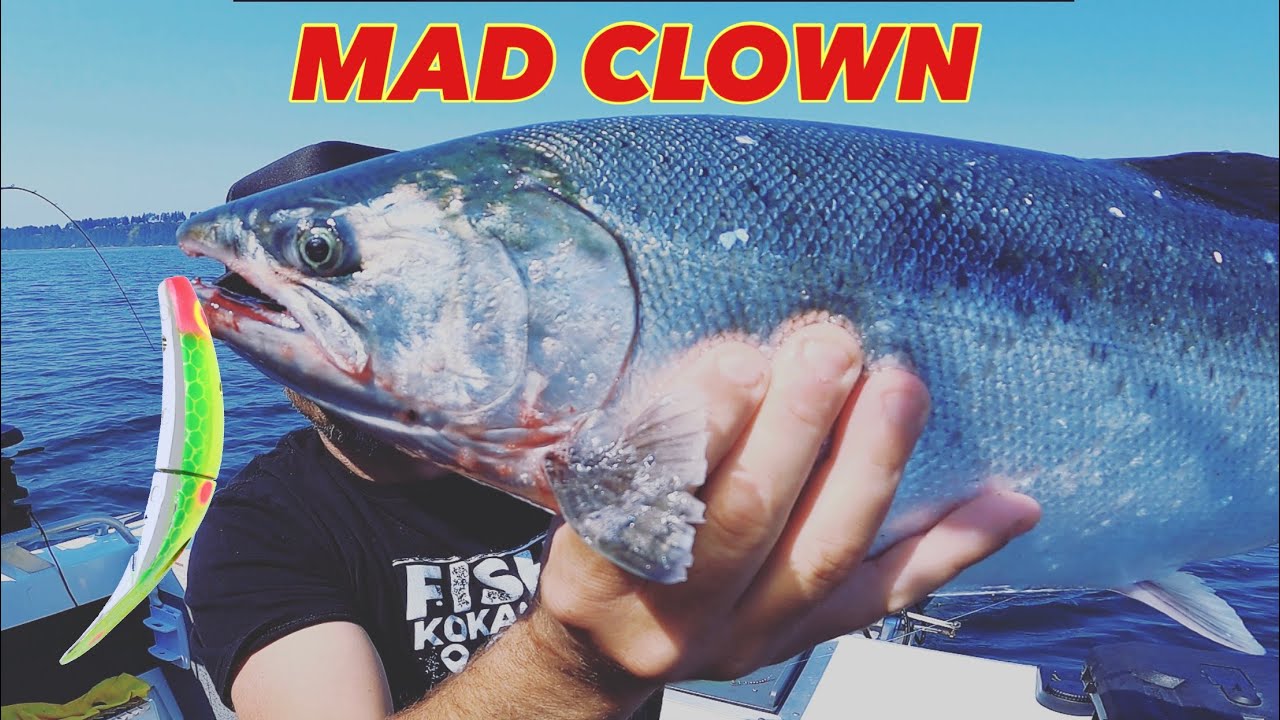 Coho Salmon Smash Yakima Bait SpinFish