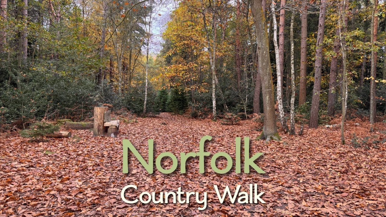 Woodland Walk in Great Hockham &ndash; Country Walks in Norfolk | Beyond the Bend
