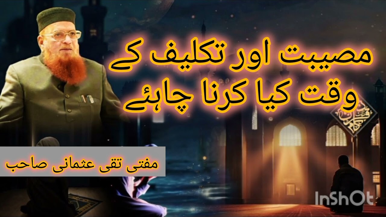 مصیبت اور تکلیف میں مسلمان کو کیا کرنا چاہیے؟ | صبر اور دعا کا راستہ#islamicvideo 