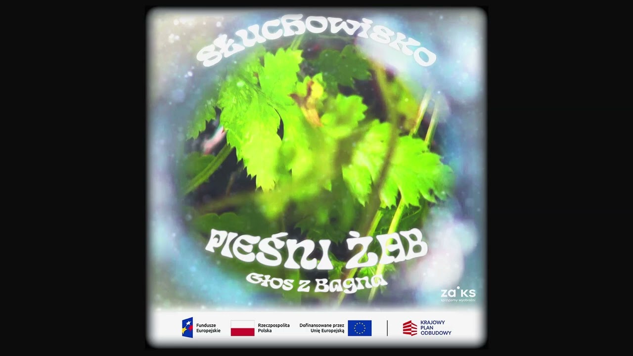 Pieśni Żab Głos z Bagna - Słuchowisko