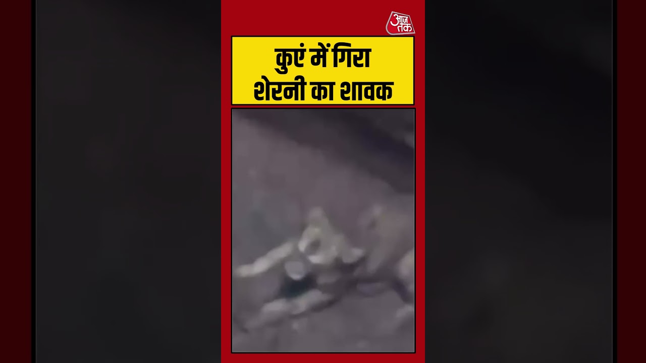 कुएं में गिरा शेरनी का शावक #lion #junagadh #viralvideo #shorts #gujarat