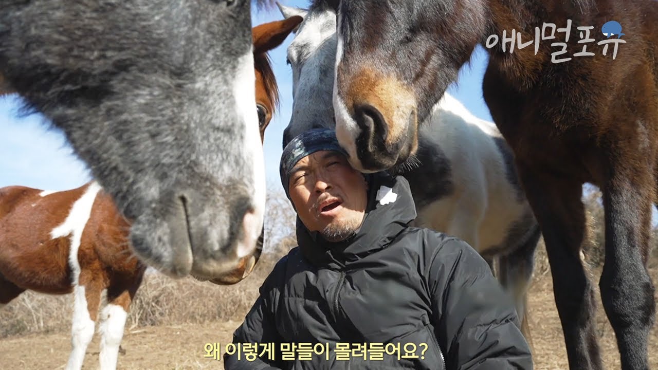 30마리 말떼 밥주러 눈보라 뚫고가는 전직 프로골퍼 남훈씨 I KBS 다큐온 230310 방송