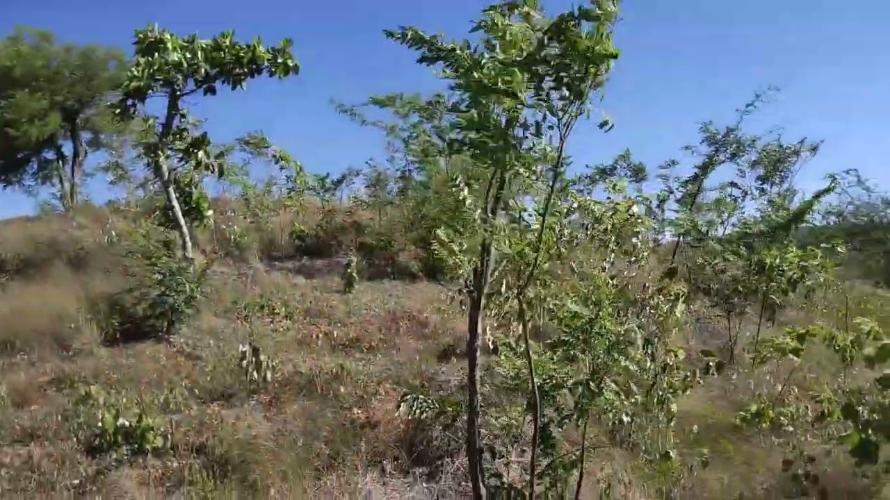 Finca Tuani August 2025