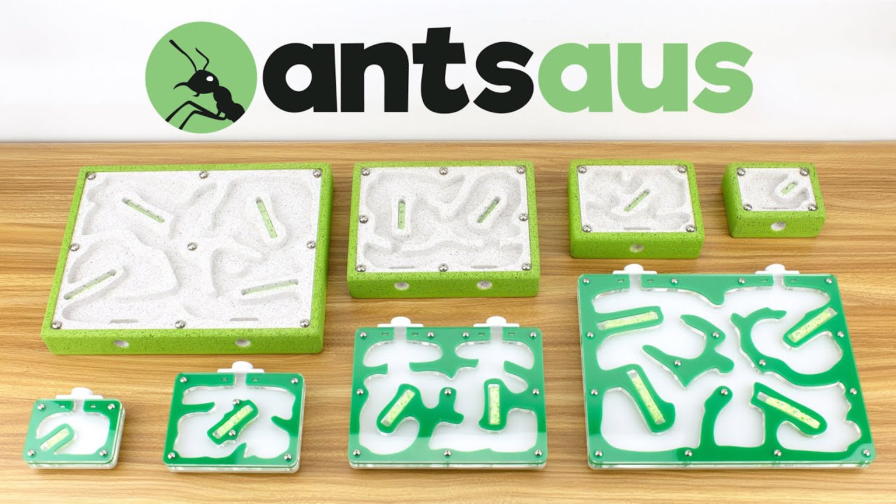 Магазин Ants Australia | Уже открыт!