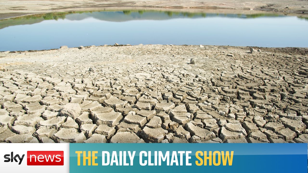 The Daily Climate Show: UN warns of more damage to the planet