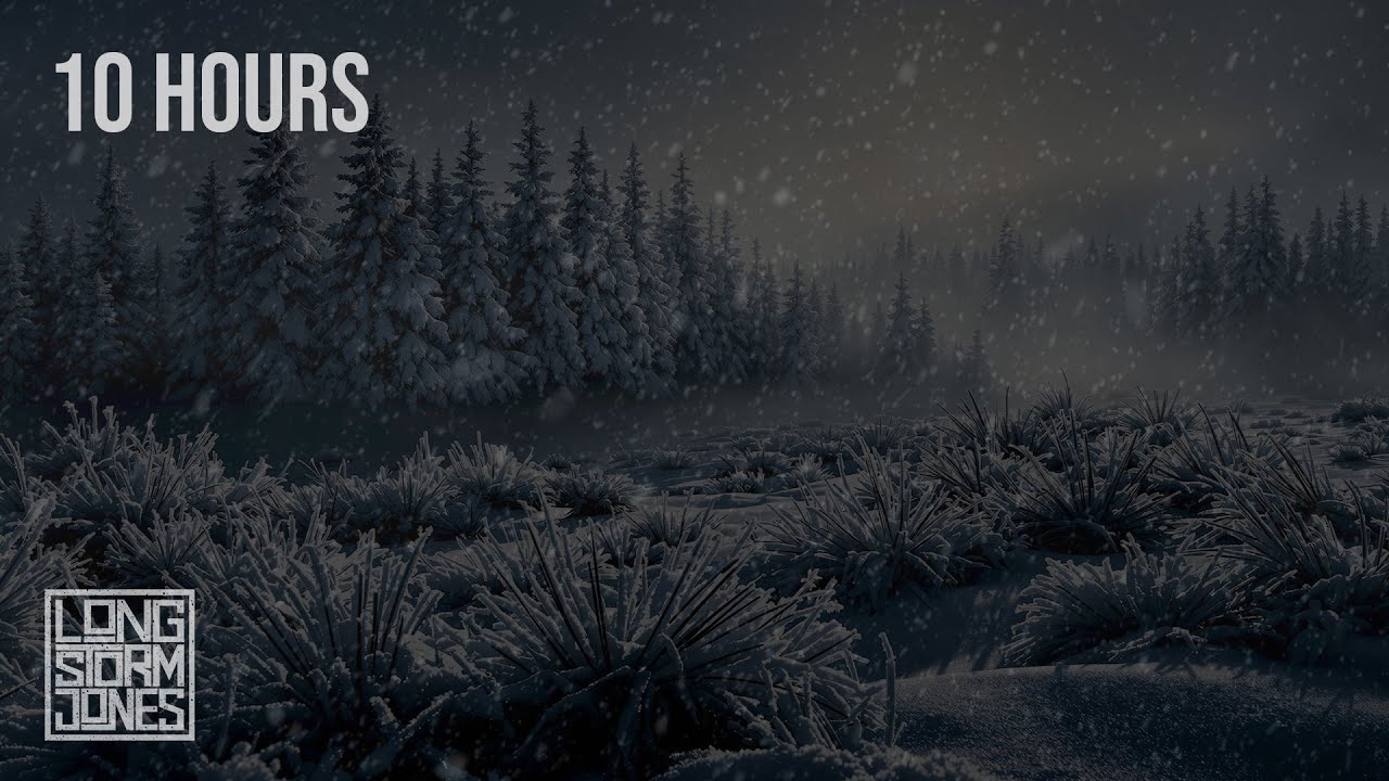 Whispering Pines | Gentle Winter Wind Through the Forest | RELAX | STUDY | SLEEP | 10 HOURS