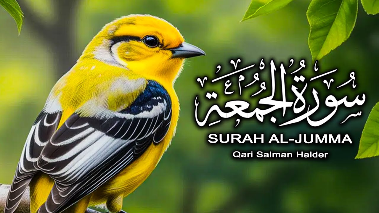 Surah Al-Jumu'ah (Friday) | By Qari Salman Haider | Full With Arabic Text |62-سورۃ الجمعۃ
