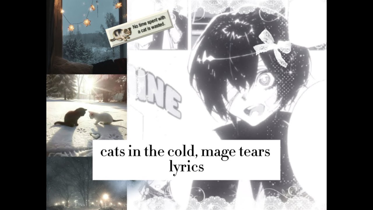 cats in the cold, mage tears (lyrics) . ݁₊ ⊹ . ݁˖ . ݁
