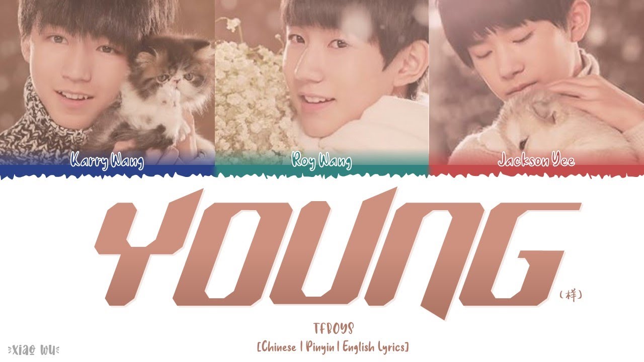 YOUNG (样) - TFBOYS (Coulourcodedlyrics ChiPinEng) Lyrics