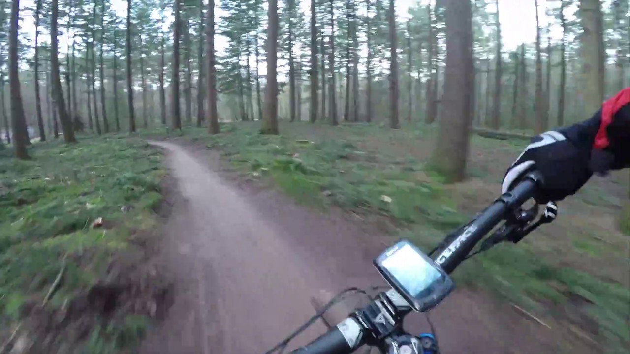 MTB Route Helmond (Bakelse bossen)