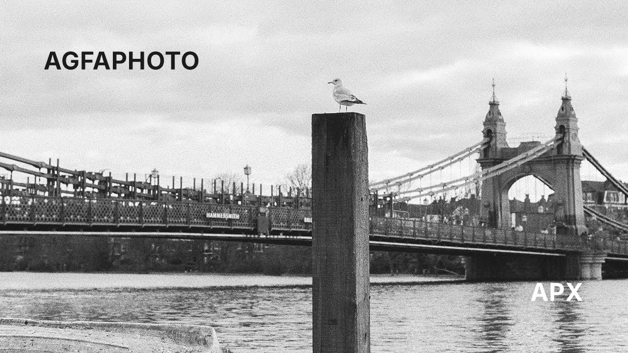 AgfaPhoto APX 100 | The Beauty of Black & White