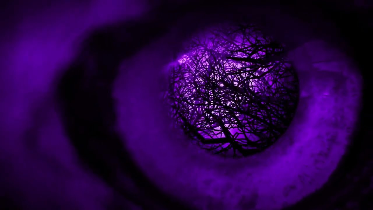 Vince Pastano & Noisebreakers - Darkest Night (OFFICIAL VISUALIZER)