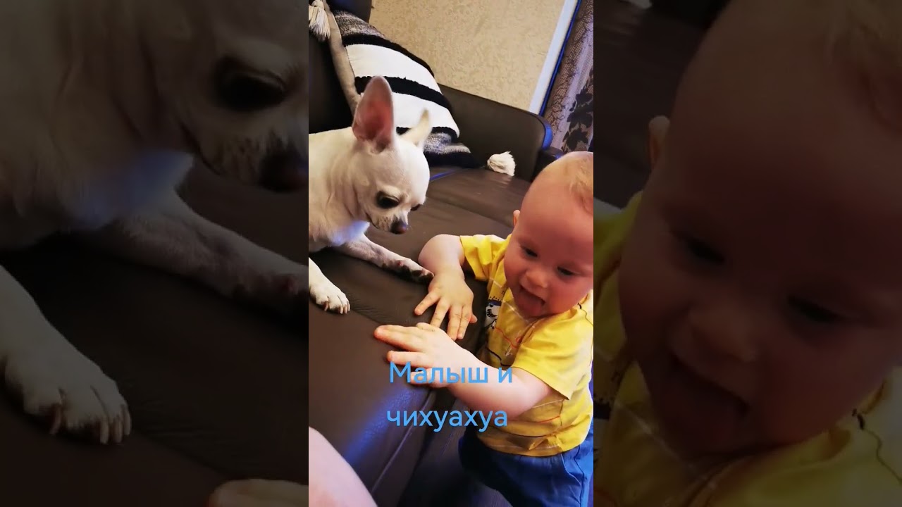 роды в 44 года #декрет #baby #рецепт #shortsfeed #семья #малыш
