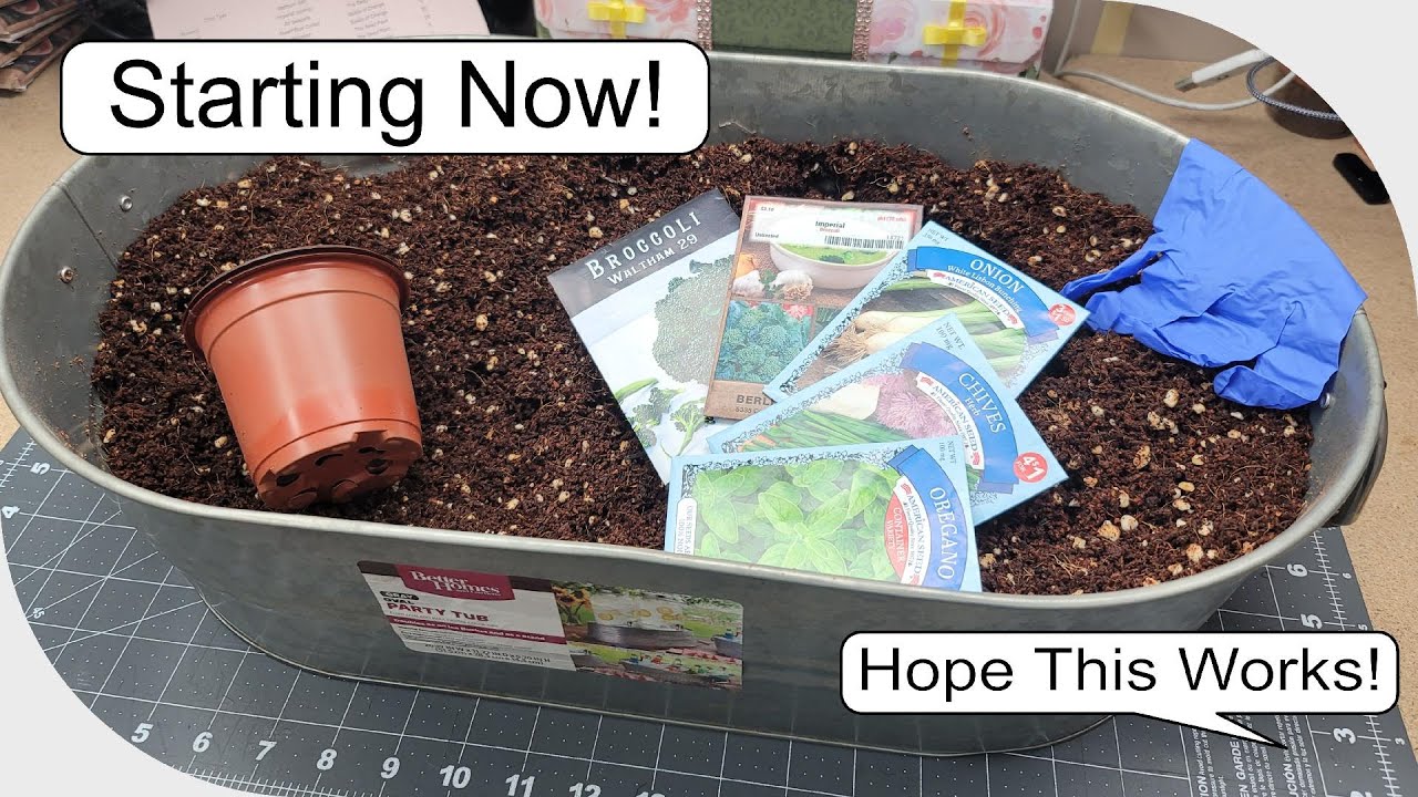 From Plan to Soil: My First Seeds of 2026