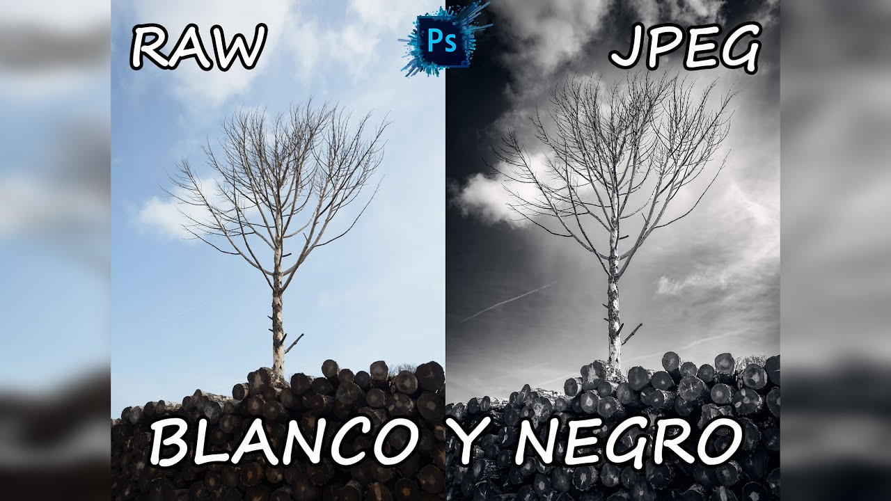 Blanco y Negro Impactante Técnica Completa paso a paso 3ª parte