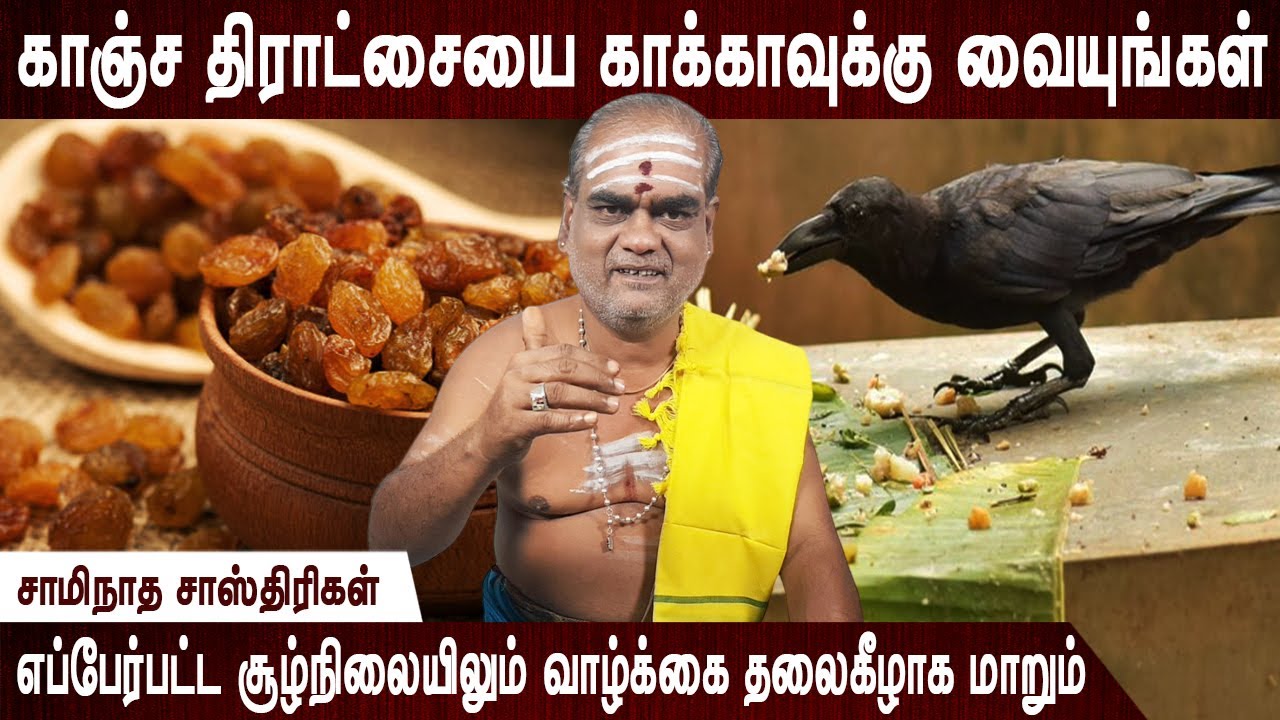 சிவபெருமானை வணங்கினால் பித்ரு தோஷம் நிவர்த்தி ஆகும் | Ular thiratchai parigaram | Aanmeegatips