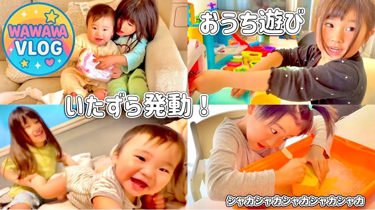【大号泣】赤ちゃんはじめてのお掃除ロボット！兄妹ドタバタおうち遊び