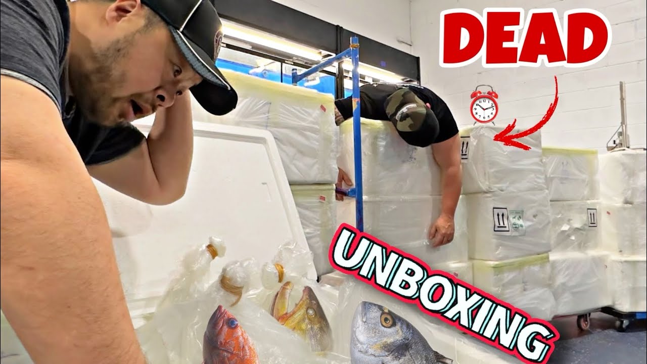 3AM UNBOXING LIVE TROPICAL FISH FROM THAILAND | What did we get?