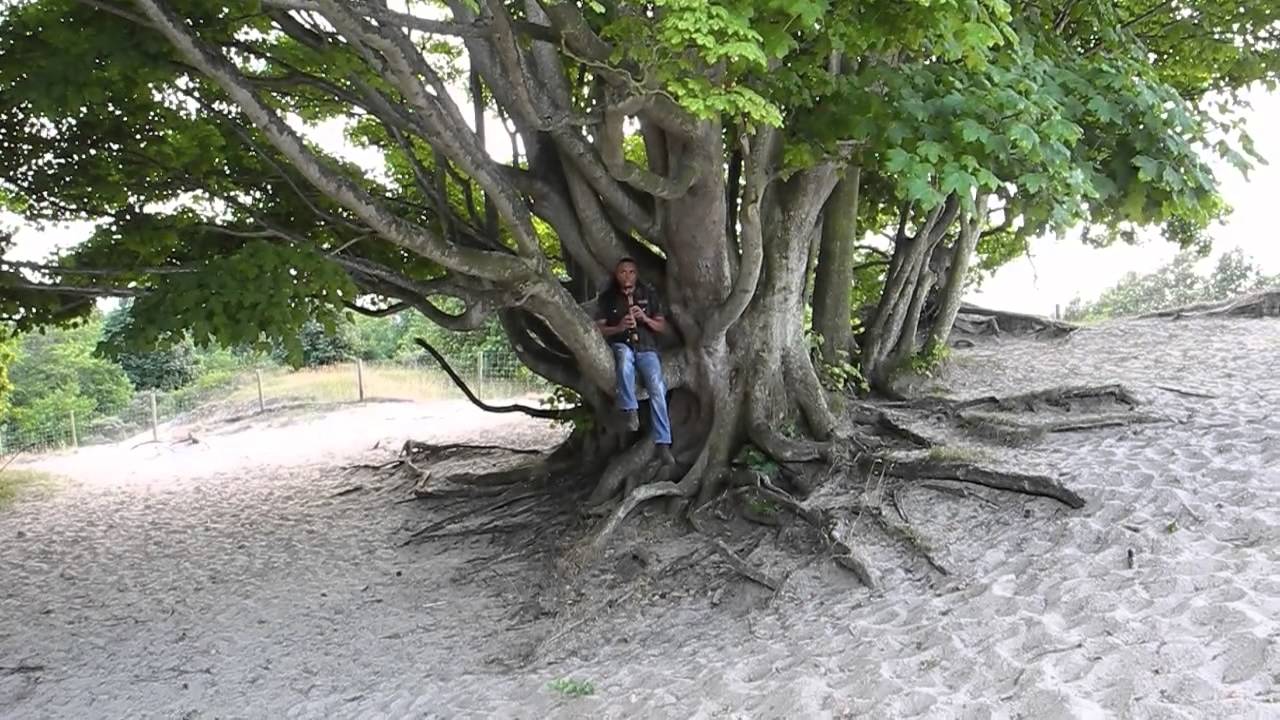 Michael Telapary plays flute in a tree
