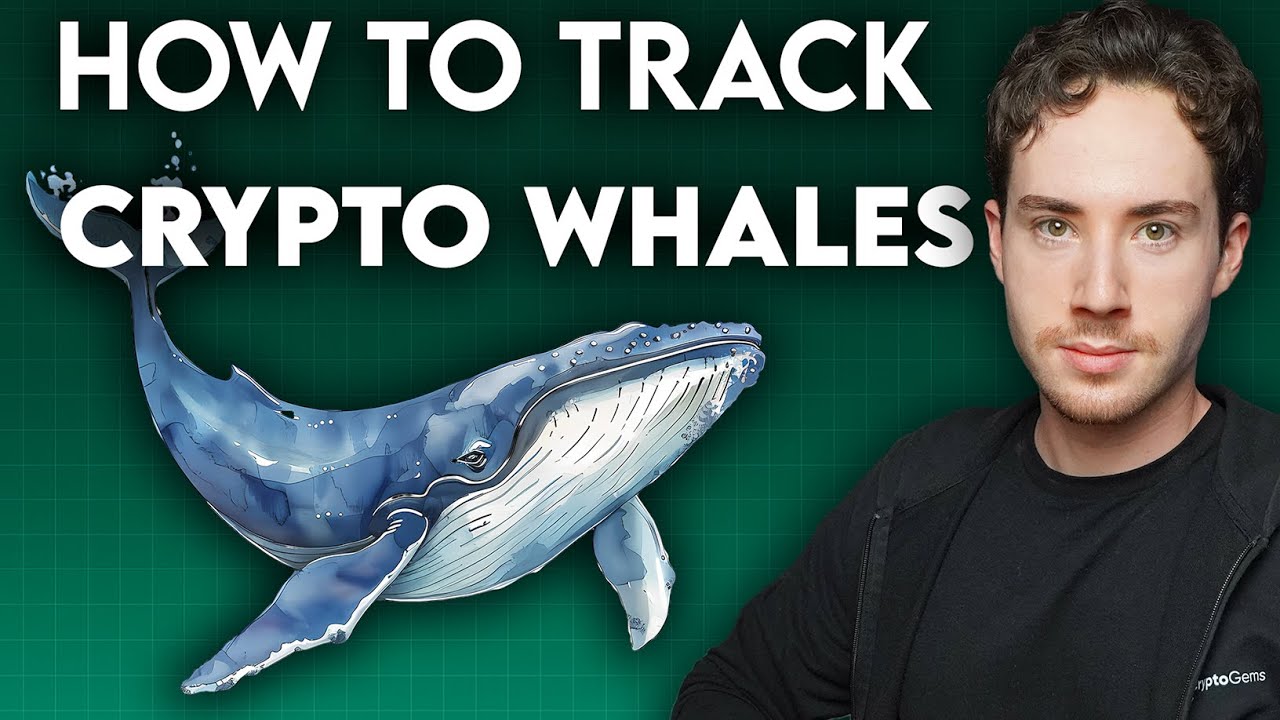 Как я отслеживаю кошельки Crypto WHALE, чтобы находить драгоценные камни заранее и устанавливать ...