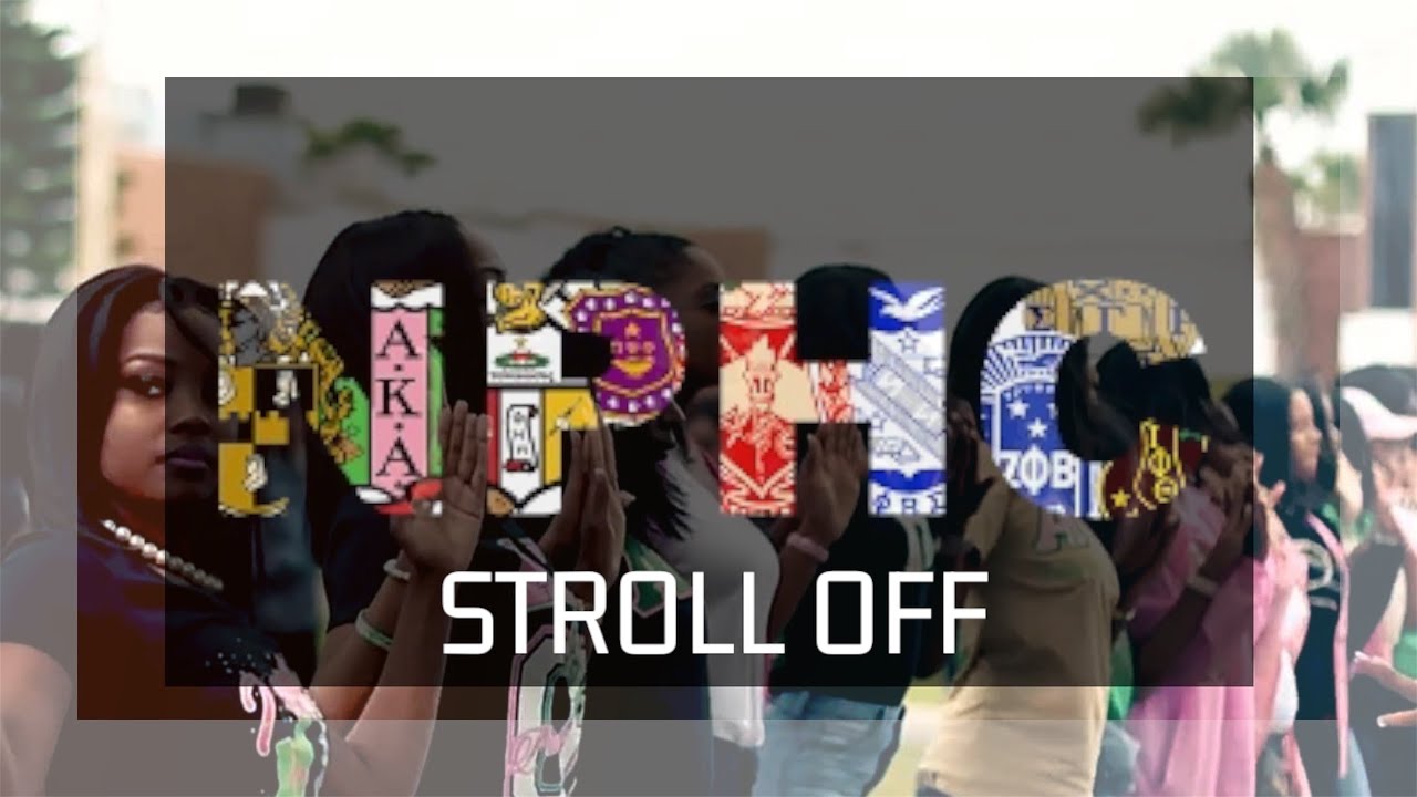 SHE RISKED IT ALL DURING THIS STROLL 😳🫢🫣 | Divine 9 NPHC Greeks Stroll After Probate